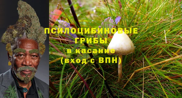 ПСИЛОЦИБИНОВЫЕ ГРИБЫ Магадан