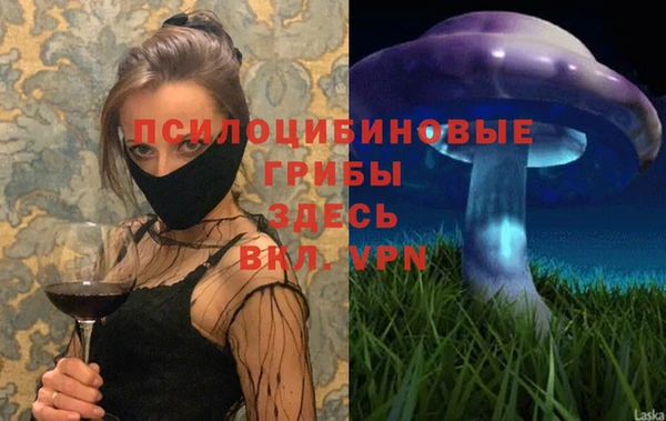меф Бердск