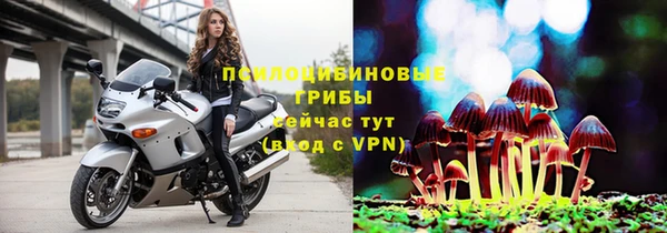 ПСИЛОЦИБИНОВЫЕ ГРИБЫ Магадан