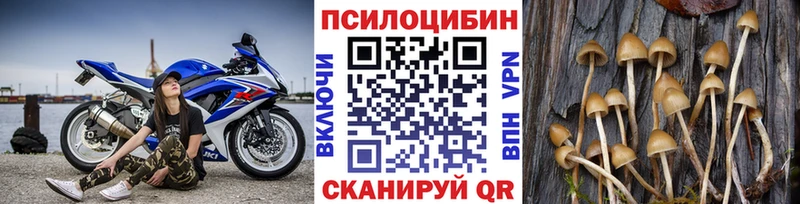 Галлюциногенные грибы прущие грибы  Спасск 